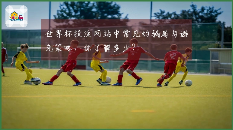 世界杯投注网站中常见的骗局与避免策略，你了解多少？