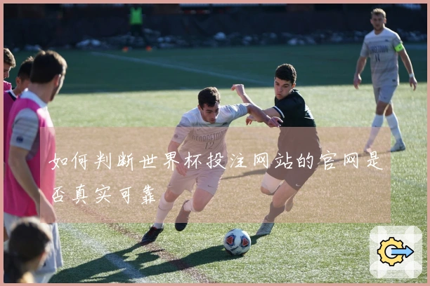 如何判断世界杯投注网站的官网是否真实可靠