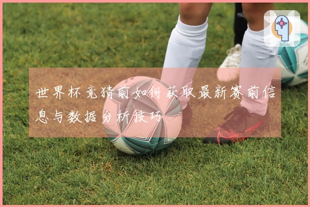 世界杯竞猜前如何获取最新赛前信息与数据分析技巧