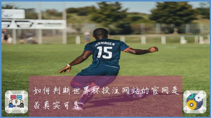 如何判断世界杯投注网站的官网是否真实可靠