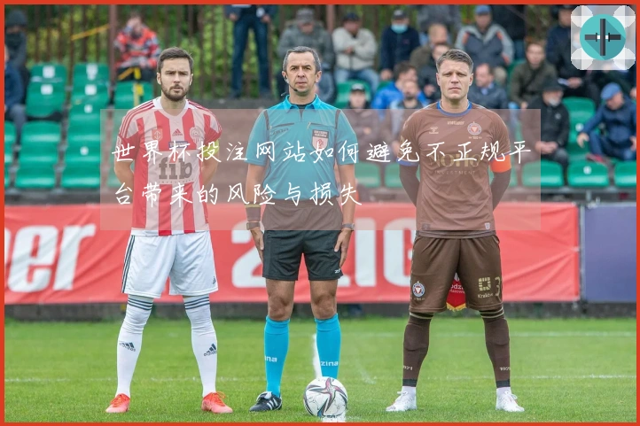 爱游戏体育资讯文章图片