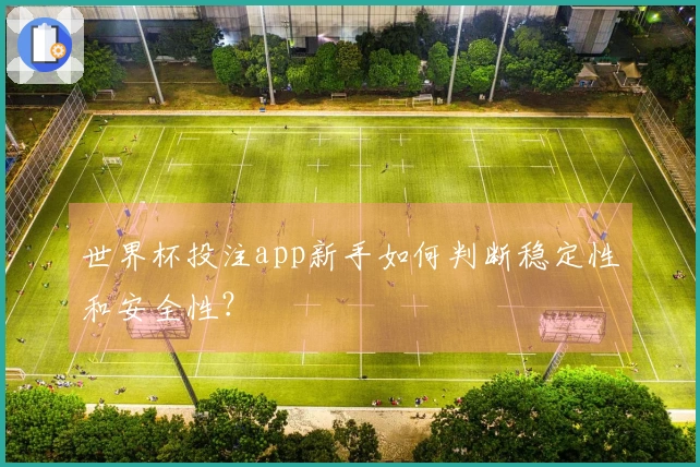 世界杯投注app新手如何判断稳定性和安全性？
